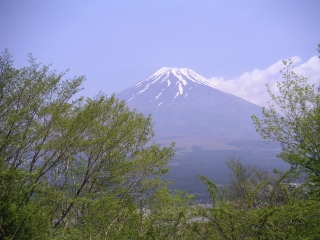 五月晴れと新緑と富士山　爽やか～