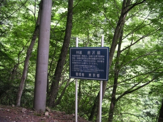 林道　倉沢線