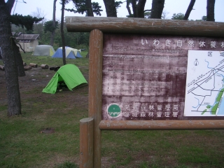 海岸近くの無料キャンプ場です
