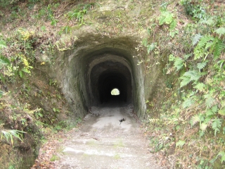 林道竹岡線　素掘りのトンネル