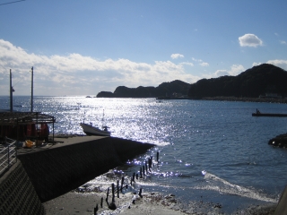 真冬の日差しに煌く勝浦の海