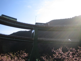 R414名物　河津七滝ループ橋