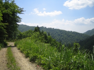 広島県北部の山中をのんびり走る