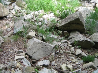 この渓谷、直角に割れた岩が多いんですよ