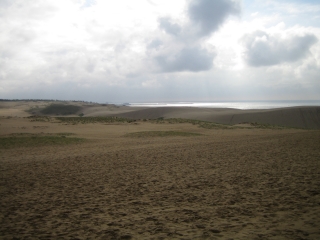 鳥取砂丘　文字通り砂の丘です