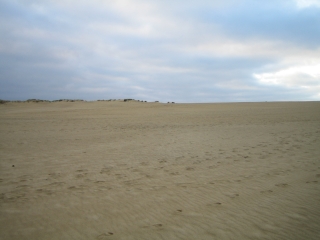 早朝の鳥取砂丘