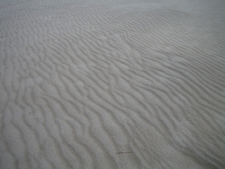 風が砂に描いた風紋