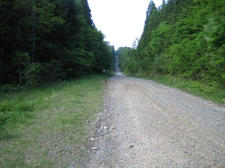 林道では珍しい1km余りのストレート
