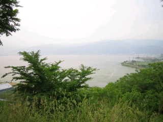 諏訪湖はアオコ大発生してました