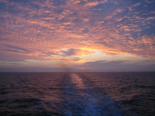 太平洋の朝焼け　水平線まで航跡が…