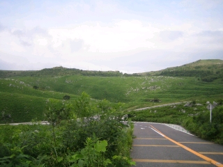 緑の絨毯に白い岩塊が散りばめられたカルスト地形