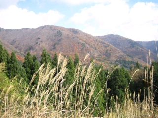 辛うじて紅葉が残る福島・山形の県境付近