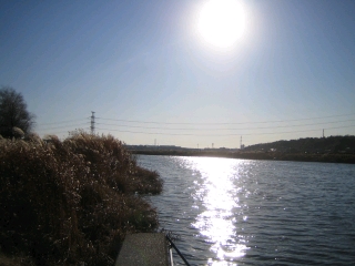 新川　印旛沼に発し花見川・東京湾へと至ります