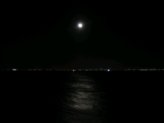 幻想的な満月と東京湾