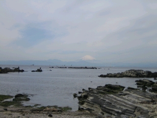 今日は富士山が綺麗でした