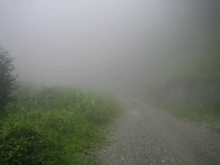 霧だらけで何も見えねー！