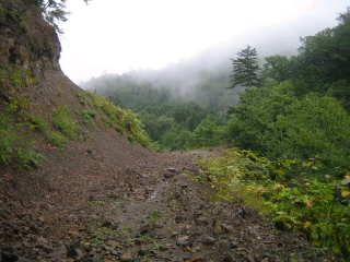 雨と霧の雨霧林道　峠前後はガレてます
