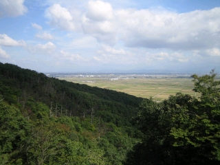 林道国上長崎線からの眺め　田んぼだらけ