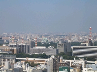 さっきまでいた名古屋城が小さーく見えます
