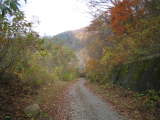 支線林道分岐の南側　派手な色の路肩