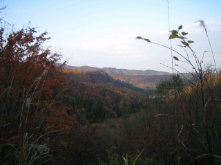 升沢林道からの眺め