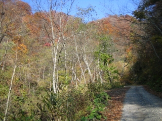 鎌内林道　ダートの距離は5.4km