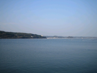 南三陸の志津川湾　静かな海です