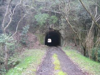 こんな素掘りのトンネルが４つほど