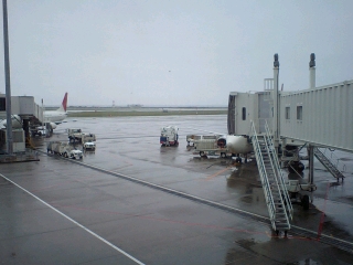 雨の那覇空港　5日ぶりかな？