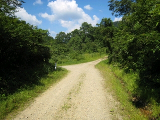右が滝沢林道　左が葡萄沢林道　ここは左へ
