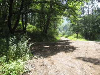 右端が本線　中央と左が信濃沢林道