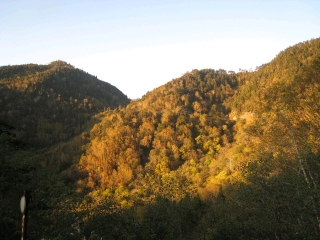 夕陽に照らされる山肌の紅葉