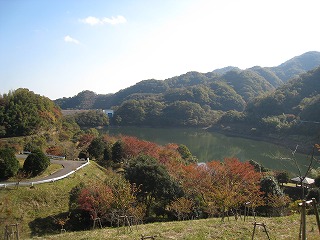 ４年ぶりの松川湖