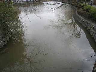 池は薄氷が溶けかけてました