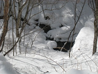 積雪の間を縫って流れる渓流って情緒ありますね
