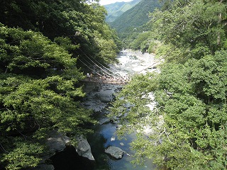 徳島有数の観光名所　祖谷のかずら橋