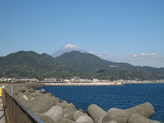 由比PAから富士山を望む