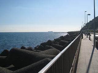 この日、駿河湾は穏やかでした