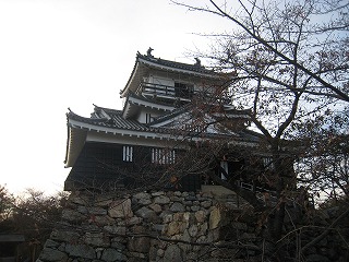 遠江国・浜松城の天守閣