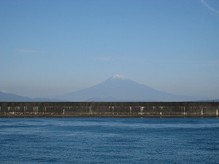 小川港から見た富士山　釣り人もいました