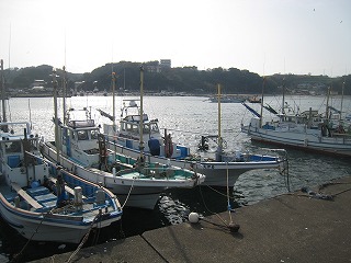 金田漁港　朝市もやってます