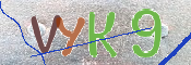 キャプチャ画像