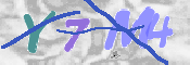 キャプチャ画像