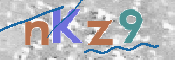 キャプチャ画像