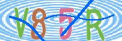 キャプチャ画像