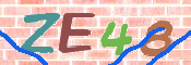 キャプチャ画像