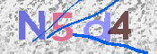 キャプチャ画像