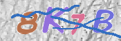 キャプチャ画像
