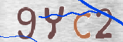 キャプチャ画像