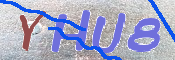 キャプチャ画像